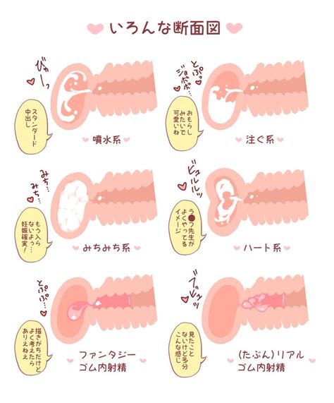 【二次】子宮に中出ししてるのが断面図でわかる二次エロ画像